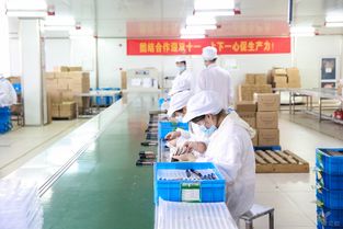 直擊阿里巴巴產(chǎn)業(yè)帶 百萬工廠三班倒,源頭好貨直供天貓雙11