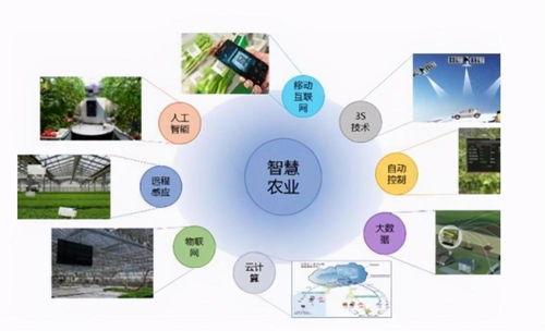 智慧農業,鄉村振興的關鍵