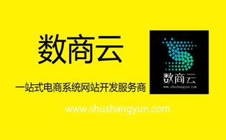 數商云 b2b電子商務系統平臺建設開發,必要的準備有哪些