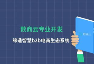數商云專業開發,締造智慧b2b電商生態系統