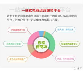 電商saas 運(yùn)營是不可比擬的優(yōu)勢(shì)