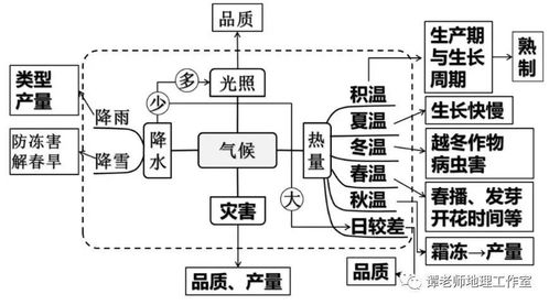 高中地理農(nóng)業(yè)區(qū)位條件及其影響 我國農(nóng)業(yè)地理地圖 世界主要農(nóng)業(yè)地域類型知識(shí)詳解,附農(nóng)業(yè)生產(chǎn)與鄉(xiāng)村發(fā)展